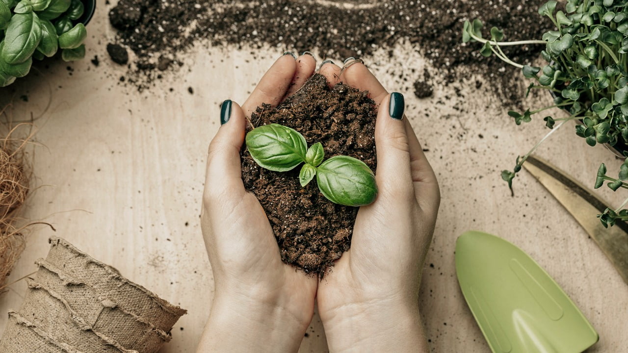 Coworking & Sustentabilidade