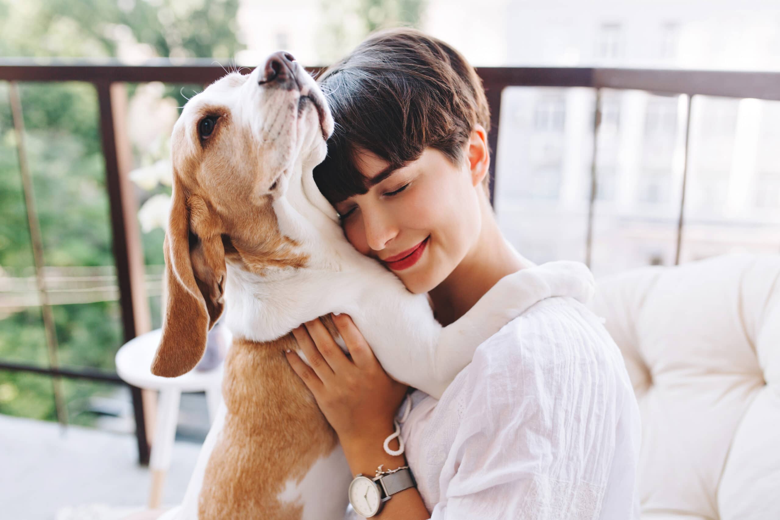 Pet Friendly: coworkings já estão seguindo a tendência.