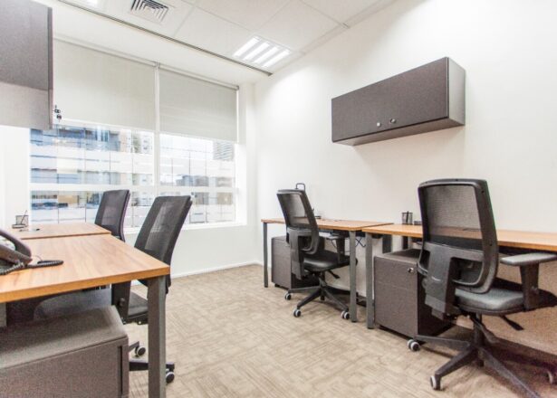 virtualofficeberrini1-8