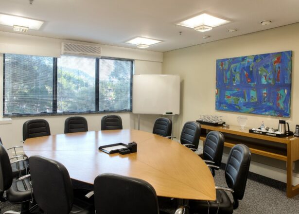 virtualofficesantanadeparnaiba-5