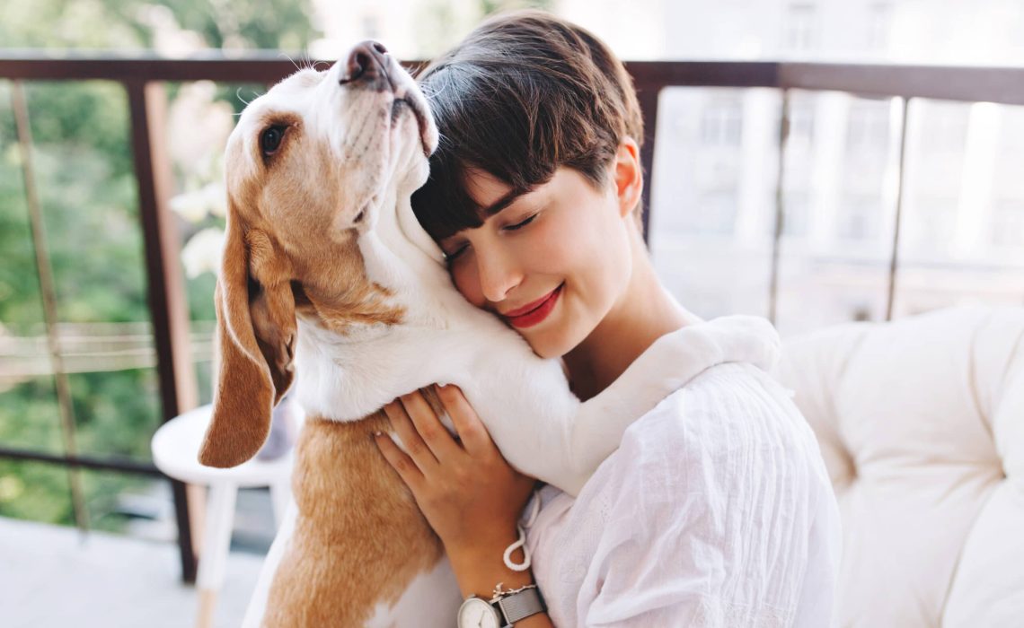 Close-up portrait of pleased girl with short brown hair embracing funny beagle dog with eyes closed. Smiling young woman in white shirt enjoying good day and posing with pet on terrace.