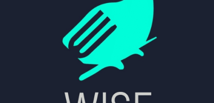 wise-com-fundo